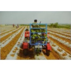 3-BIGDEL Sebze fide dikim makinesi 6 sıralı traktöre takılan model